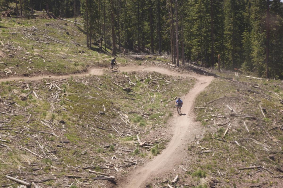 Two mountain bikers ride on a dirt trail winding through a forested area with sparse trees and scattered logs. The landscape is a mix of grassy patches and bare ground, indicating recent forest clearing. One biker is seen in the distance, while another is closer to the foreground, both enjoying the sunny day. Vail Mountain Bike Park mountain bike trail.