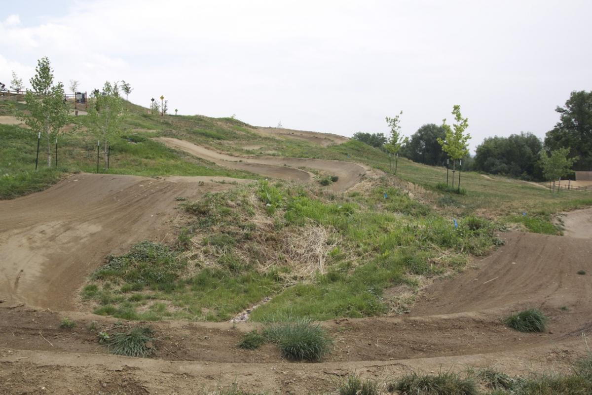 A dirt bike track featuring multiple winding paths and jumps, surrounded by greenery and young trees, under a partly cloudy sky. Valmont Bike Park mountain bike trail.
