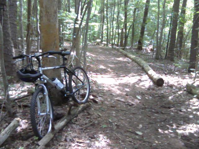A mountain bike leaning against a tree, located on a dirt trail surrounded by dense green foliage in a forest. Sunlight filters through the trees, casting dappled shadows on the ground. There are fallen logs and leaves along the path, indicating a tranquil outdoor setting. Cedarock Park mountain bike trail.