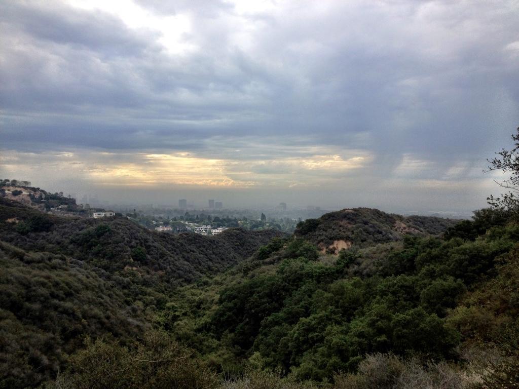 A view of a misty landscape featuring rolling hills covered in greenery, with a cloudy sky above. In the distance, the skyline of a city is faintly visible, partially obscured by fog, creating a serene and atmospheric scene. Backbone Trail: Topanga State Park to Will Rogers State Park mountain bike trail.