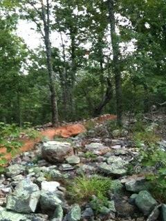 A rocky, secluded trail winding through a wooded area, featuring various sizes of stones and patches of greenery. Tall trees surround the path, creating a natural, serene environment. Coldwater Mountain mountain bike trail.
