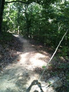 A winding dirt path through a lush green forest, surrounded by trees and scattered leaves. Sunlight filters through the canopy, creating dappled light along the trail. Coldwater Mountain mountain bike trail.