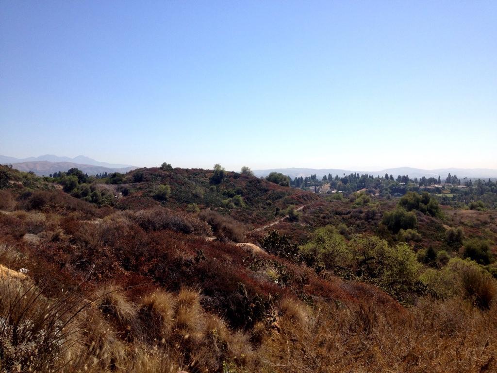 A scenic view of rolling hills covered in dry and green vegetation, with patches of shrubs and trees. In the background, a slight haze obscures distant mountains, and a small residential area can be seen nestled among the trees. The sky is clear and blue, suggesting a sunny day. Fullerton Loop mountain bike trail.
