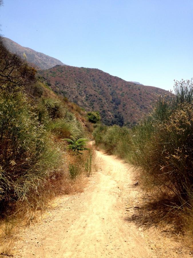 A sunny dirt trail winding through hills covered in dry vegetation and bushes, with mountains in the background under a clear blue sky. El Prieto mountain bike trail.