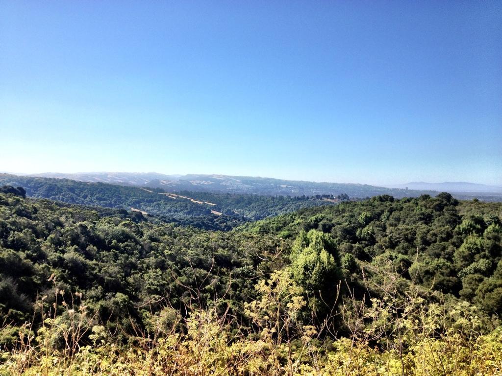 A panoramic view of a lush green landscape under a clear blue sky, showcasing rolling hills covered with trees and patches of farmland in the distance. Anthony Chabot Regional Park mountain bike trail.