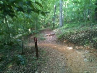 A winding dirt path through a lush green forest, surrounded by trees and foliage. A signpost is visible along the trail, indicating direction. Van Michael Trail mountain bike trail.