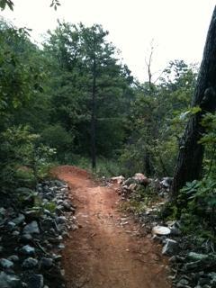 A narrow dirt trail winding through a lush green forest, surrounded by trees and rocks. Coldwater Mountain mountain bike trail.