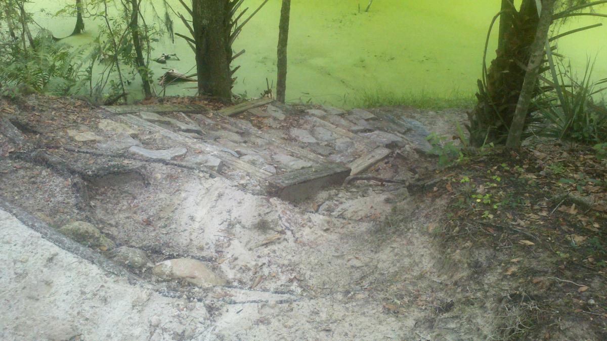 Steep, sandy pathway leading down to a greenish pond, surrounded by trees and foliage. The path is lined with stones and wooden planks, with some erosion visible. Alafia River State Park mountain bike trail.