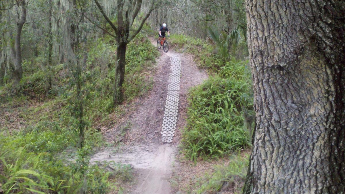 A mountain biker riding along a dirt trail in a wooded area, with a clearly defined path featuring a textured surface for better traction. Surrounding greenery includes trees and plants, creating a natural landscape. Alafia River State Park mountain bike trail.