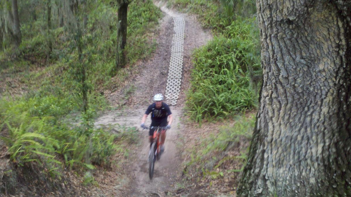 A mountain biker riding on a dirt trail surrounded by lush greenery, with a section of elevated trail featuring a patterned surface in the background. Alafia River State Park mountain bike trail.