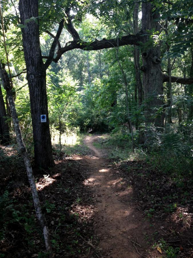 A narrow dirt trail winding through a dense forest with lush green foliage, flanked by tall trees. A blue marker is visible on one of the trees, indicating the path's direction. Sunlight filters through the leaves, creating a serene atmosphere. Heritage Park mountain bike trail.