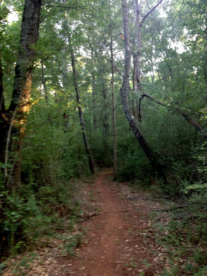 A narrow dirt path winding through a lush, green forest with tall trees and dense foliage, dappled sunlight filtering through the leaves. Trail Creek Park mountain bike trail.