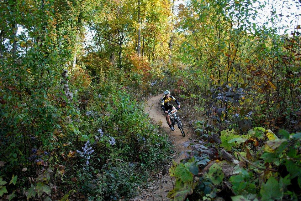 A mountain biker riding along a dirt trail surrounded by vibrant autumn foliage, with trees displaying hues of orange, yellow, and green. Rocky Knob Park mountain bike trail.