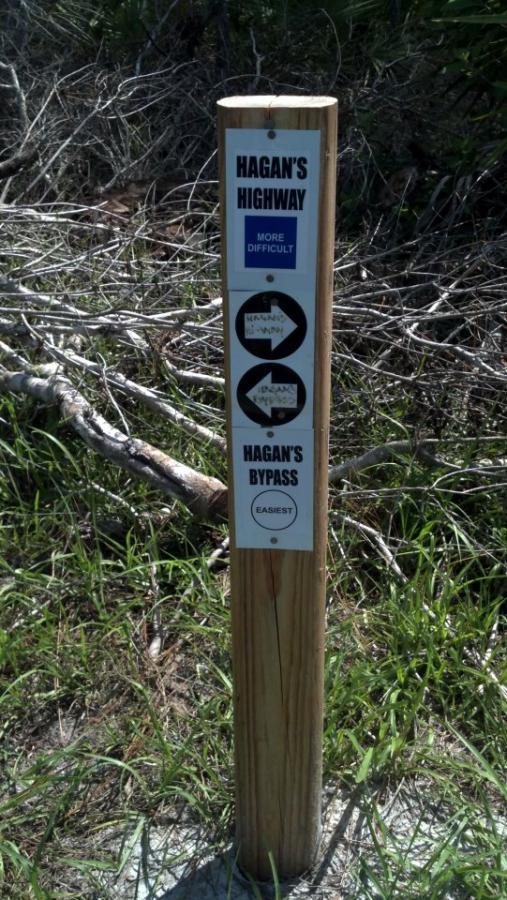Signpost indicating two trail options: "Hagan's Highway" marked as more difficult, and "Hagan's Bypass" marked as the easiest. The sign includes directional arrows for navigation. Surrounding vegetation includes grass and fallen branches. Grassy Island Trail mountain bike trail.