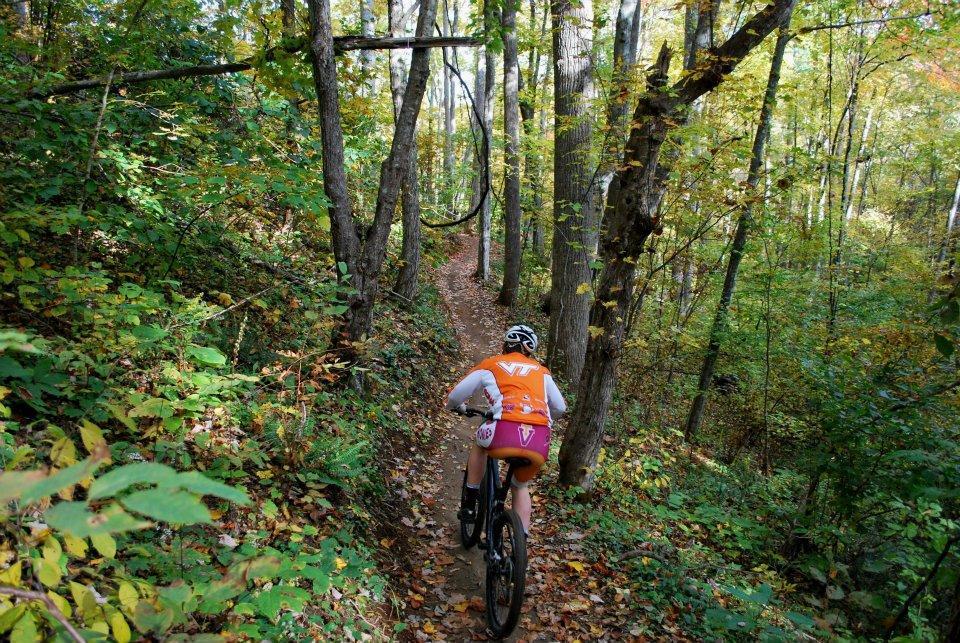 A person riding a mountain bike on a narrow trail surrounded by trees and autumn foliage. The cyclist is wearing an orange and white jersey and is seen from behind as they navigate the winding path through a lush green forest. Rocky Knob Park mountain bike trail.