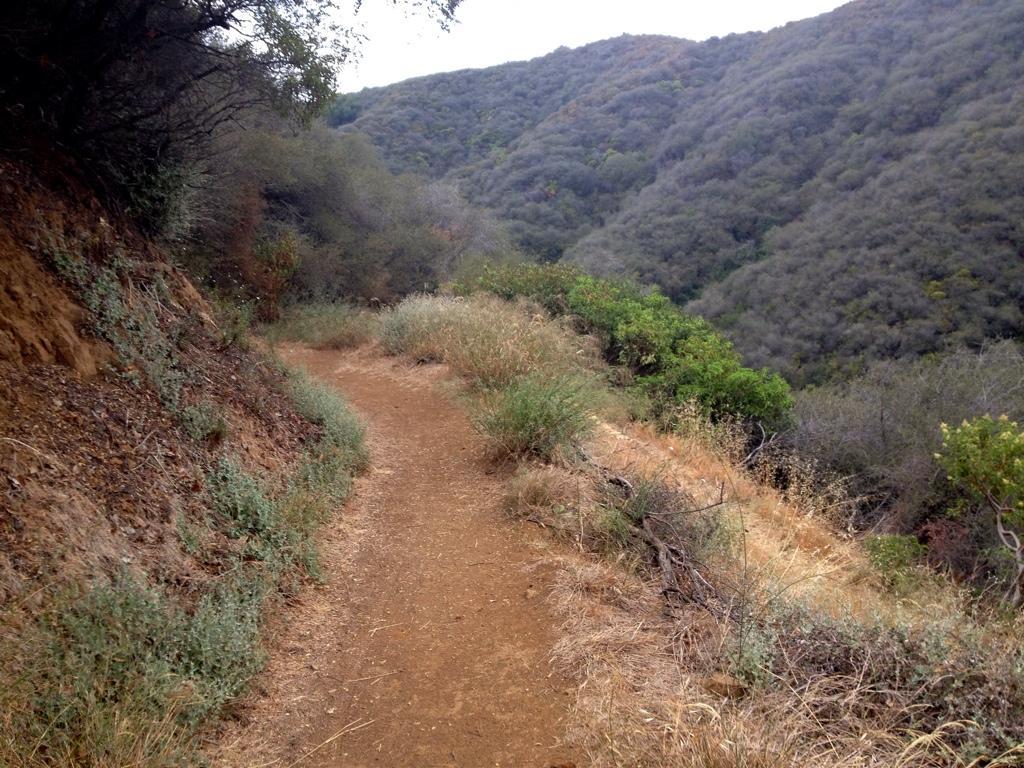 A dirt hiking trail winds through a hillside, bordered by lush greenery and dry grass. The path is flanked by shrubs on one side and steep terrain on the other, with rolling hills in the background covered in a mix of green and brown vegetation under a cloudy sky. Backbone Trail: Topanga State Park to Will Rogers State Park mountain bike trail.