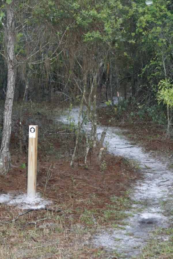 A narrow, winding dirt path through a wooded area, surrounded by trees and underbrush. A wooden signpost with an arrow symbol stands to the left, indicating the direction of the trail. The ground is covered in a mix of pine needles and light-colored soil. Grassy Island Trail mountain bike trail.