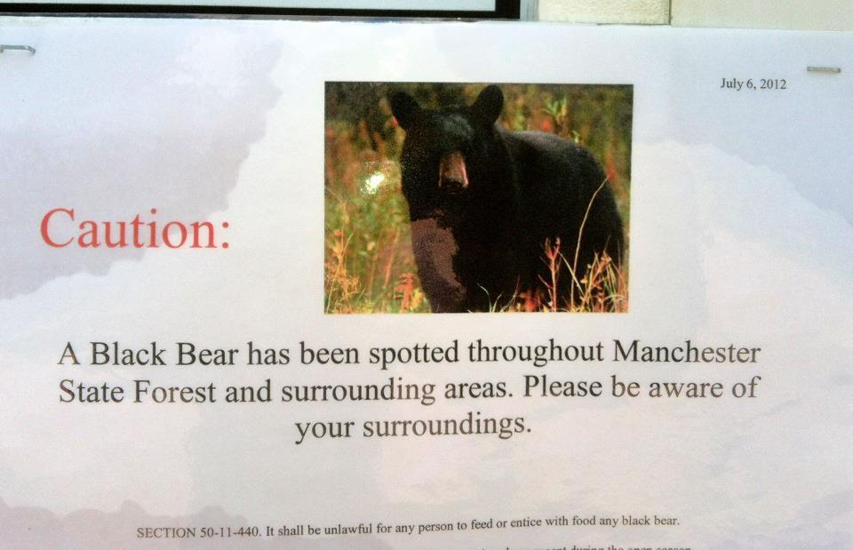Caution sign warning of a black bear sighting in Manchester State Forest. The sign advises people to be aware of their surroundings and includes a photo of a black bear in a natural setting. The date on the sign is July 6, 2012. Killer Three Loop mountain bike trail.