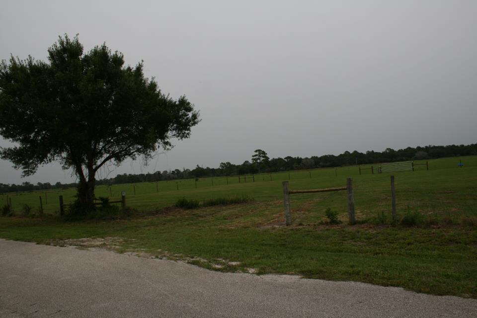 A large green pasture under a cloudy sky, with a single tree on the left side and a fence running along the field. A gravel road is visible in the foreground, leading towards the expansive, open landscape. Grassy Island Trail mountain bike trail.
