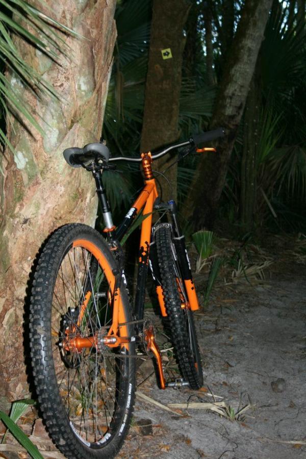 A black and orange mountain bike resting against a tree in a dense, green forest setting. The bike features thick tires and is positioned off a dirt path surrounded by foliage. Grassy Island Trail mountain bike trail.