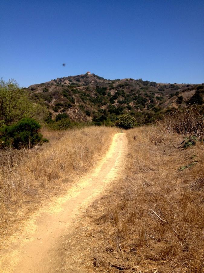 A winding dirt path leads through dry, grassy terrain, flanked by sparse shrubs, with a distant hillside and clear blue sky in the background. 7th Street mountain bike trail.