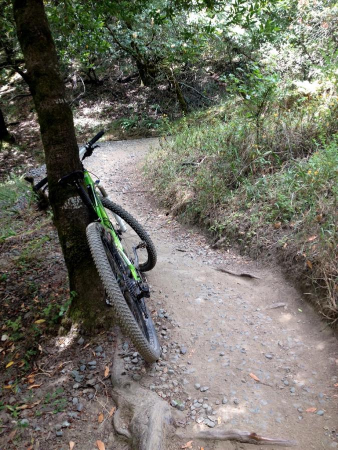 A green mountain bike leaning against a tree on a dirt path surrounded by greenery. The trail curves slightly, with small rocks scattered along the path and roots visible on the ground. Camp Tamarancho mountain bike trail.