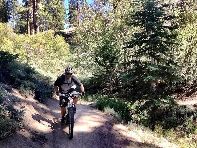 A mountain biker riding along a dirt trail surrounded by lush greenery and tall trees on a sunny day. The cyclist is wearing a helmet and a backpack, focused on navigating the path. Pine Knot Trail mountain bike trail.