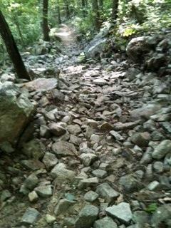 Rocky hiking trail surrounded by trees, showcasing a pathway covered in uneven stones and boulders. Coldwater Mountain mountain bike trail.