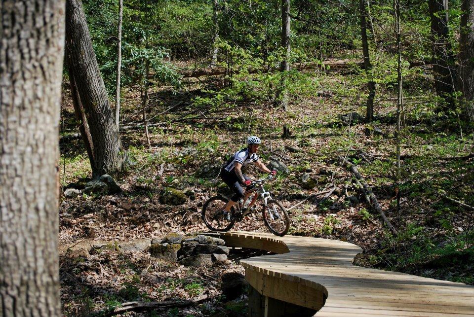 A cyclist riding a mountain bike along a curved wooden pathway in a forested area, surrounded by greenery and trees. Rocky Knob Park mountain bike trail.