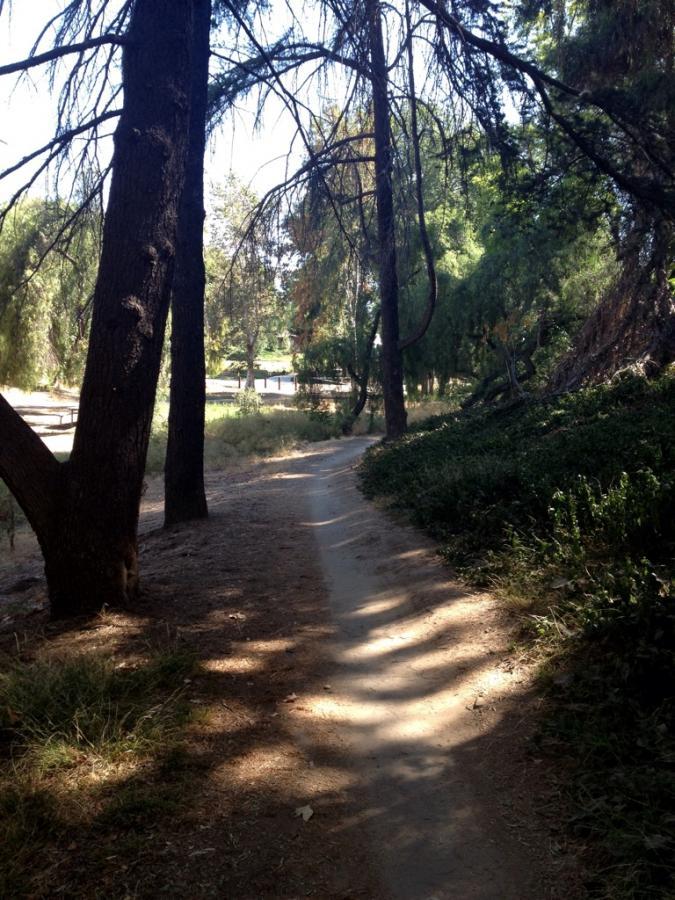 A narrow dirt path winding through a wooded area, surrounded by tall trees and underbrush, with dappled sunlight filtering through the branches. Fullerton Loop mountain bike trail.