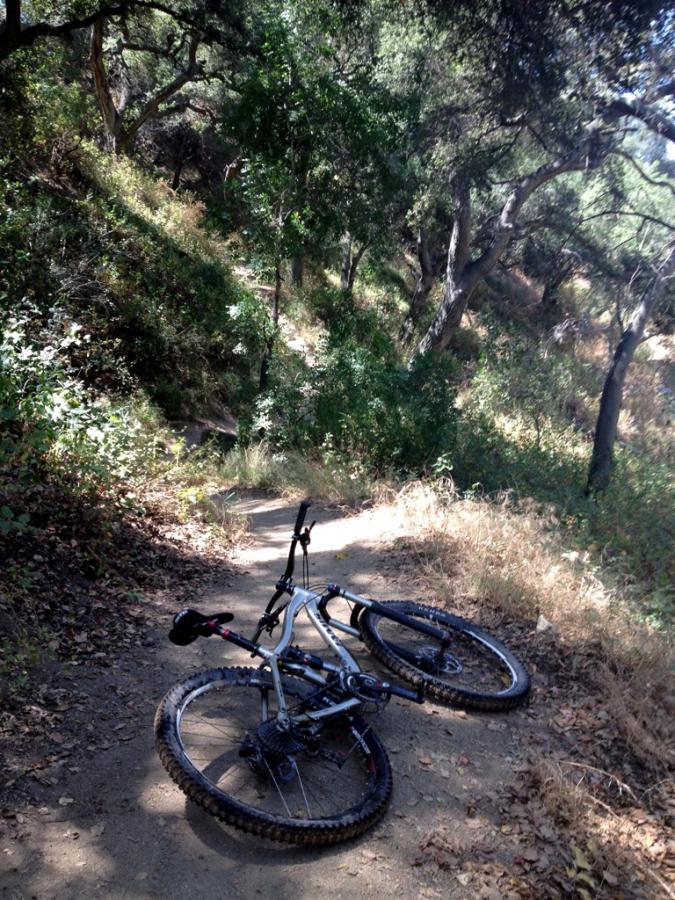 A mountain bike resting on a dirt path surrounded by trees and greenery, with a mix of sunlight and shade filtering through the foliage. The bike is positioned on its side, indicating a pause or a possible stop along a scenic trail in a natural setting. El Prieto mountain bike trail.