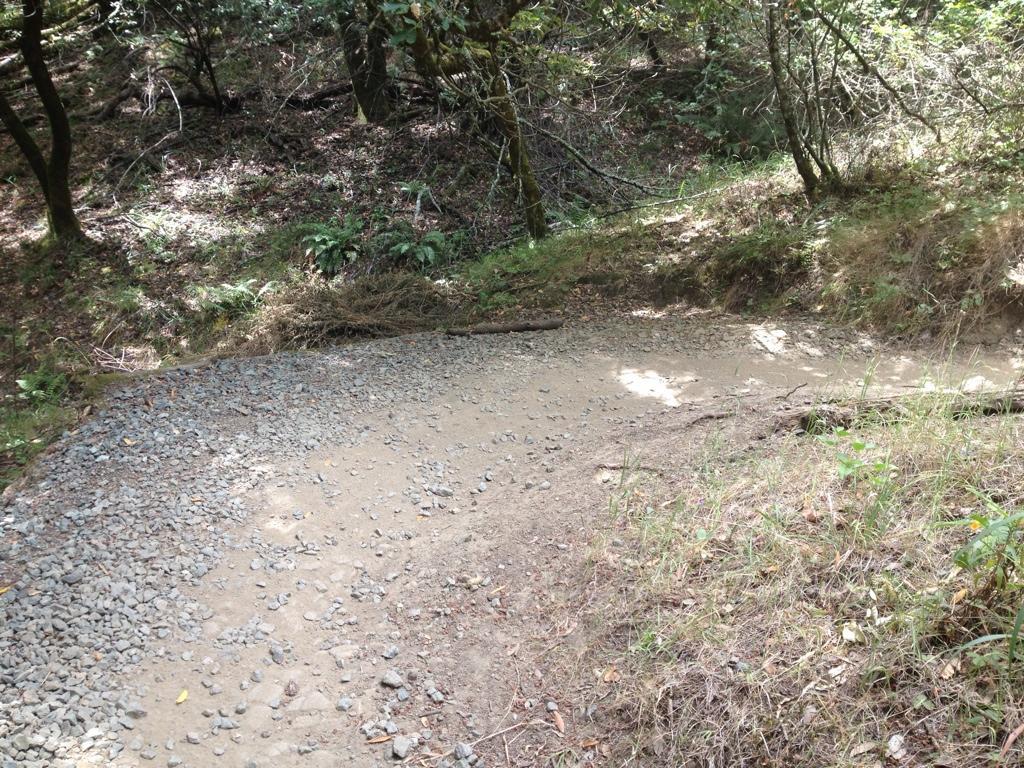 A dirt path lined with gravel leads into a wooded area, surrounded by trees and underbrush. Sunlight filters through the leaves, illuminating the ground, which is partially covered in dry grass and small stones. Camp Tamarancho mountain bike trail.