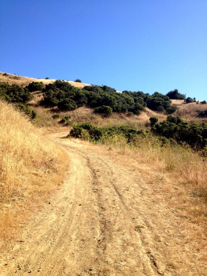 A winding dirt path leads through dry grass and shrubs, ascending a hillside under a clear blue sky. Anthony Chabot Regional Park mountain bike trail.