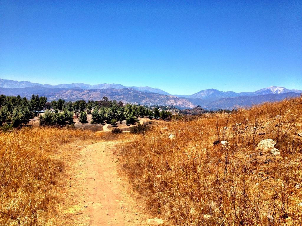 A dirt path winding through dry, golden grass leads toward a mountainous landscape under a clear blue sky. Sparse trees dot the hillside, while distant mountains rise in the background, showcasing a range of textures and hues. Frank G. Bonelli Regional Park mountain bike trail.