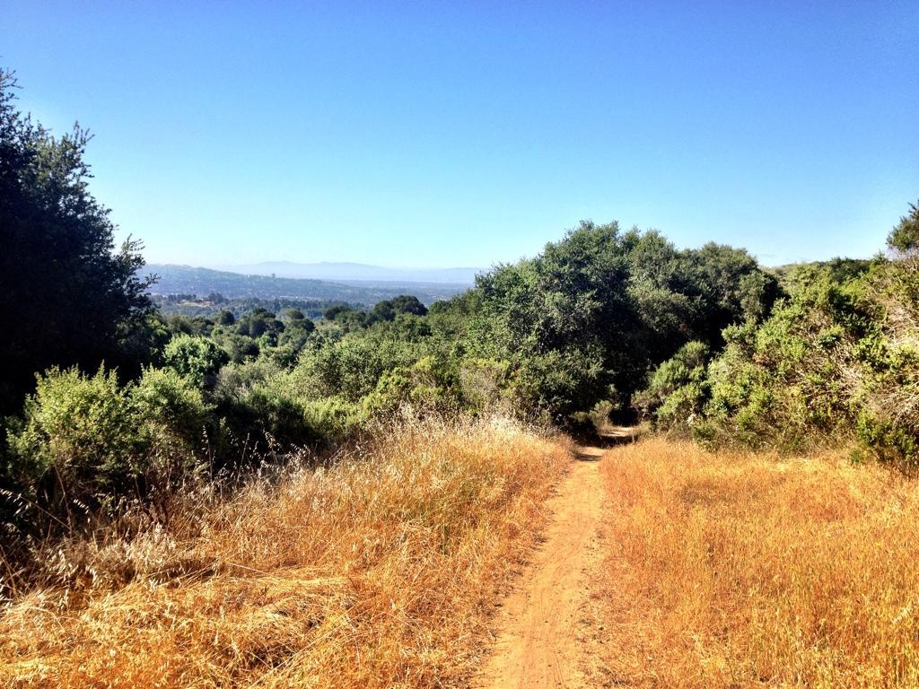 A winding dirt path surrounded by tall grass and shrubs, leading into a green landscape under a clear blue sky, with distant mountains visible in the background. Anthony Chabot Regional Park mountain bike trail.