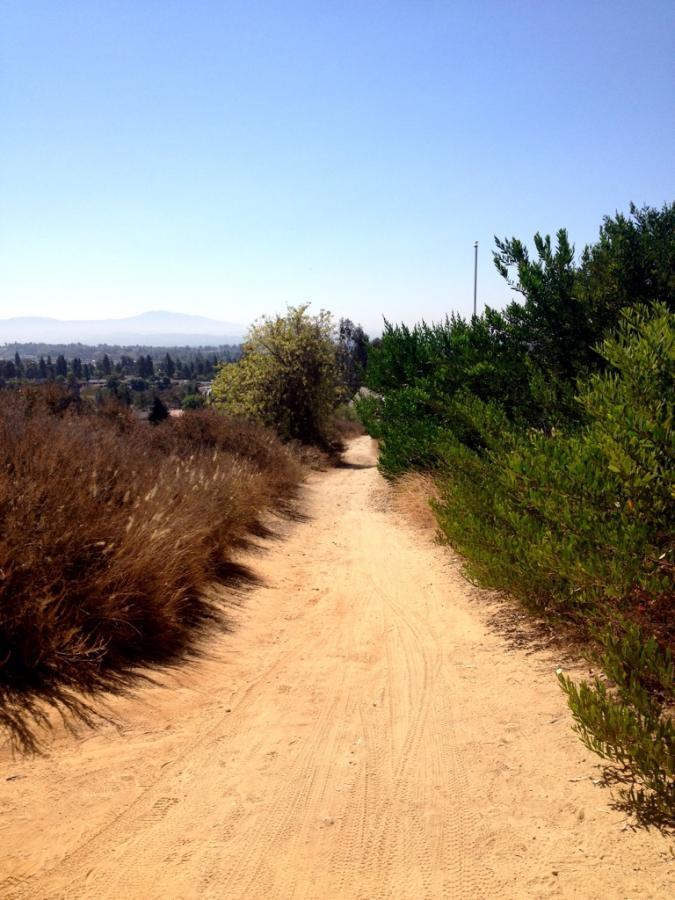 A sandy pathway winding through lush greenery and tall grasses, under a clear blue sky, leading toward distant hills. Fullerton Loop mountain bike trail.