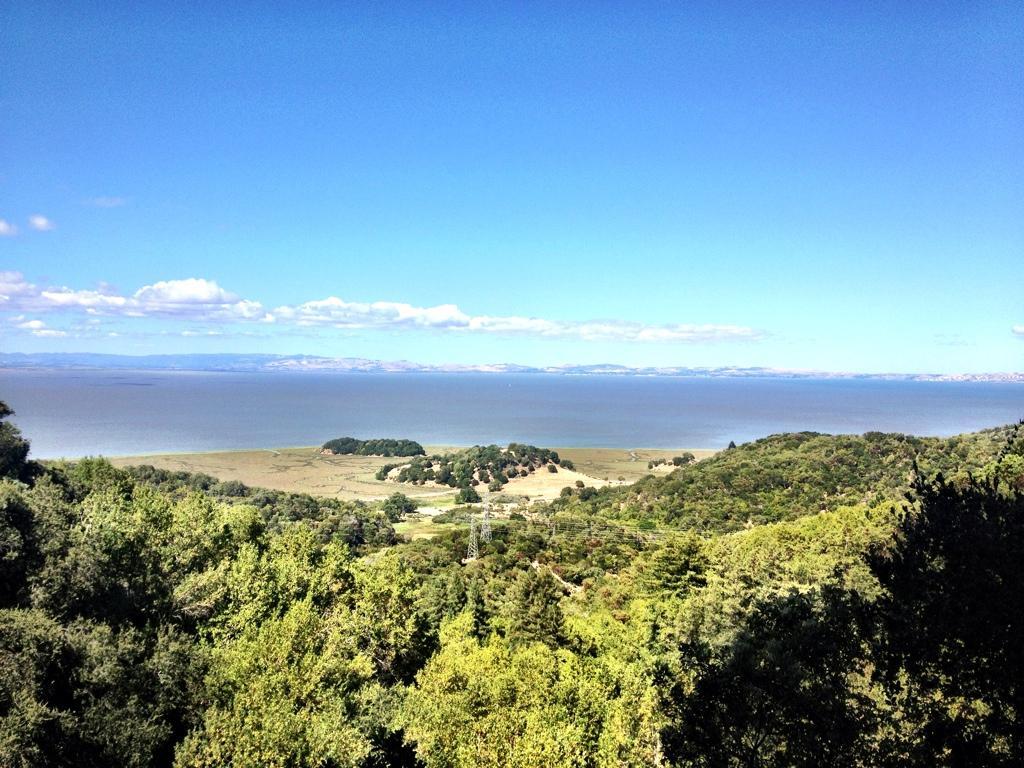 A panoramic view of a serene landscape featuring a calm body of water, bordered by a lush green hillside. The sky is clear with a mix of blue and fluffy white clouds, adding depth to the tranquil scenery. In the distance, rolling hills can be seen across the water, creating an inviting and peaceful atmosphere. China Camp mountain bike trail.