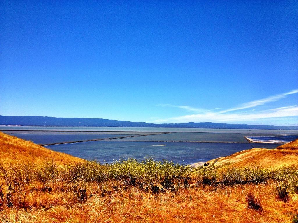A panoramic view of a calm bay surrounded by hills and grassy terrain under a clear blue sky. The water reflects the sunlight and stretches toward distant mountains, with lines of land formations visible across the surface. Coyote Hills Regional Park mountain bike trail.