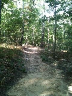 A dirt path winding through a dense forest with lush greenery and tall trees on either side, under a bright sky. Coldwater Mountain mountain bike trail.