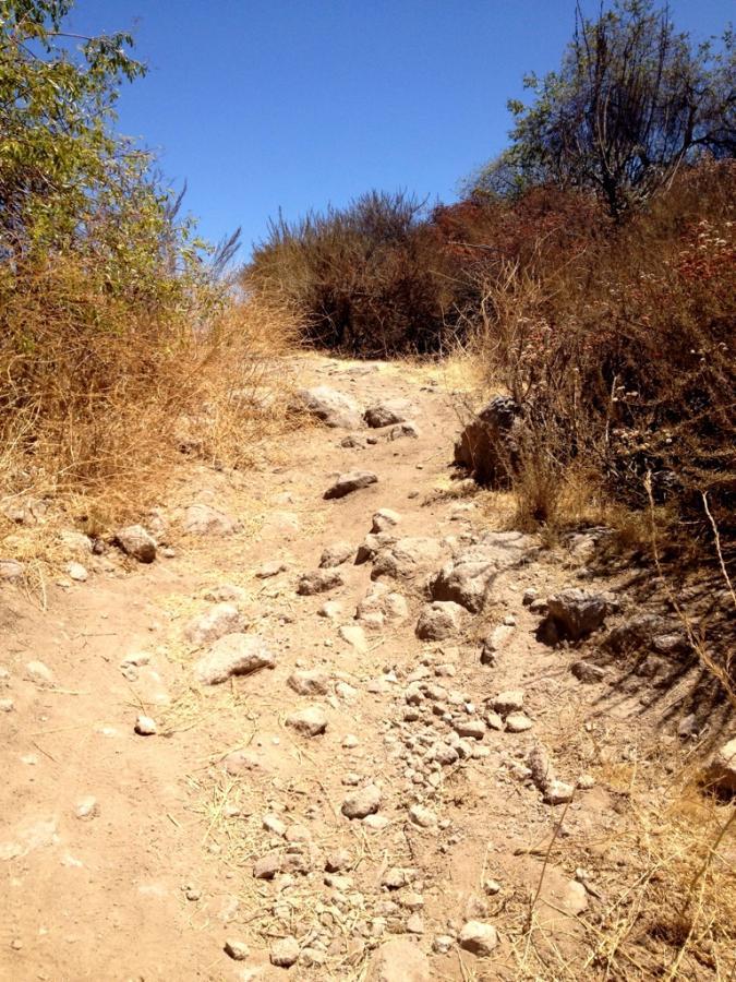 A rocky, dirt trail leads upward through dry grass and sparse bushes under a clear blue sky. The path is uneven, with scattered stones and patches of exposed soil. Frank G. Bonelli Regional Park mountain bike trail.