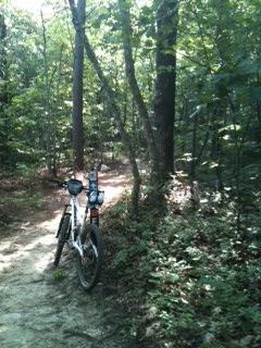 A mountain bike leaning against a tree on a dirt trail surrounded by lush greenery in a forest. Coldwater Mountain mountain bike trail.