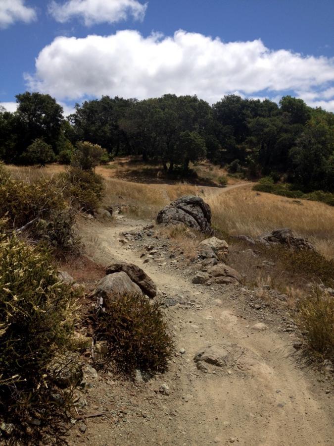 A winding dirt path leads through dry grass and rocky terrain, surrounded by trees and shrubs under a partly cloudy sky. Camp Tamarancho mountain bike trail.