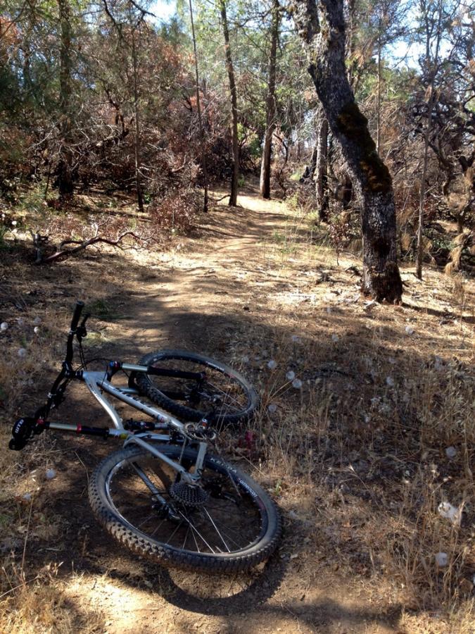 A mountain bike lying on its side on a dirt path surrounded by trees and dry grass. The trail winds through a wooded area, showing signs of recent dryness and sparse vegetation. Henry W. Coe State Park mountain bike trail.