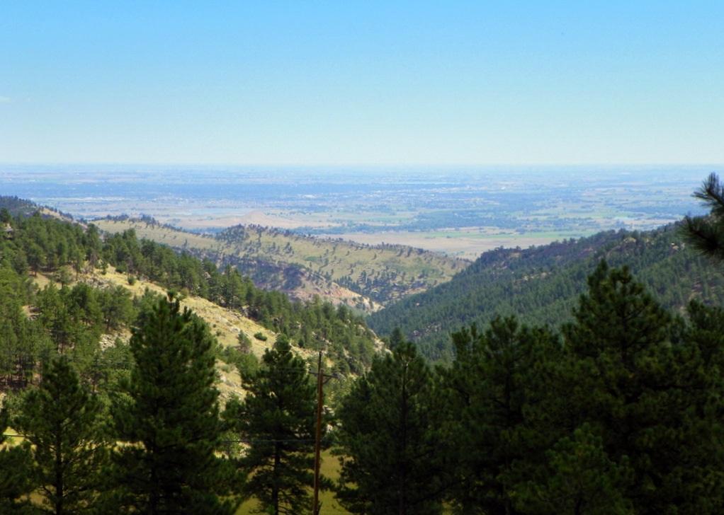 A panoramic view of rolling green hills and valleys under a clear blue sky, framed by evergreen trees in the foreground. The landscape stretches into the distance, showcasing a vast expanse of land with gentle slopes and a serene atmosphere. Bald Mountain Trail mountain bike trail.