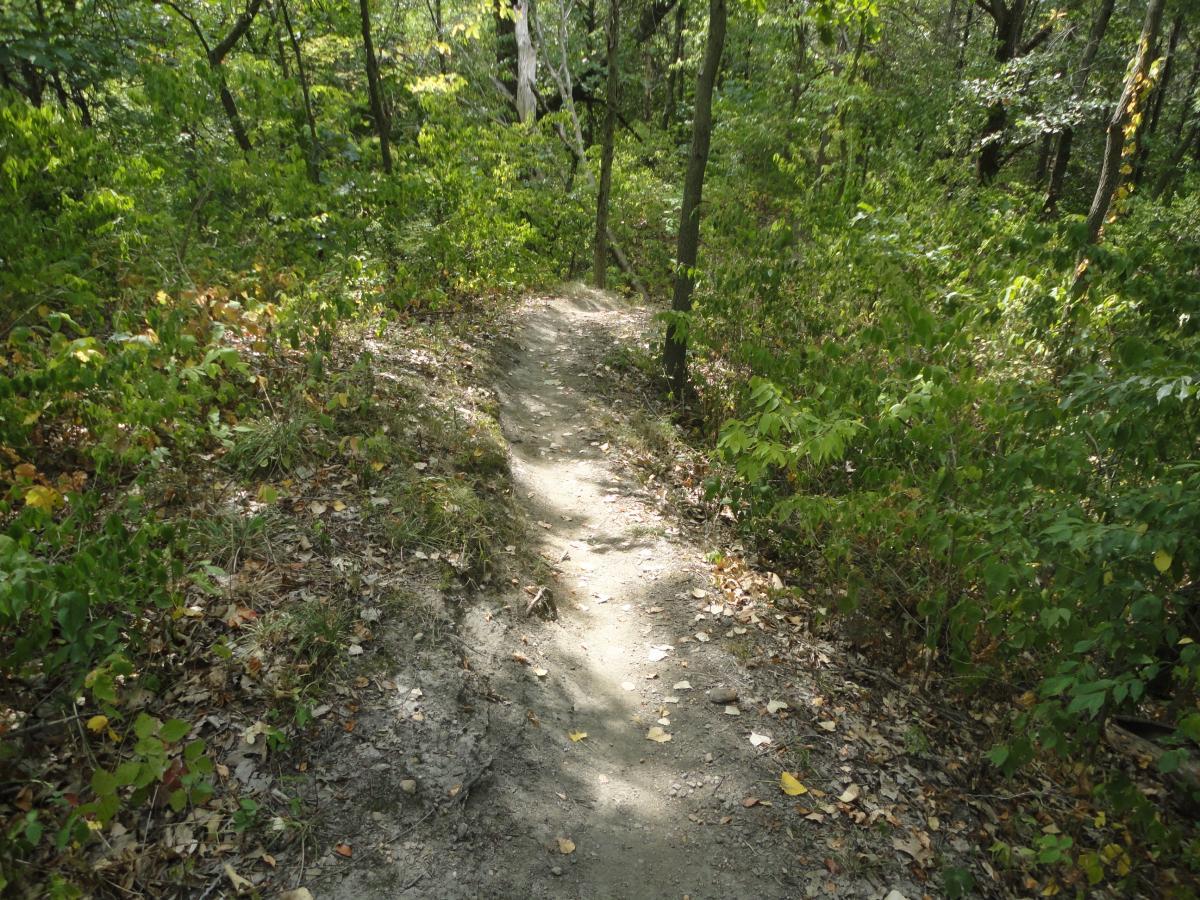 A dirt path winding through a lush, green forest, surrounded by trees and foliage. Leaves are scattered along the trail, indicating the transition of seasons. The sunlight filters through the trees, creating a peaceful and inviting atmosphere. Banner Lakes At Summerset Park mountain bike trail.