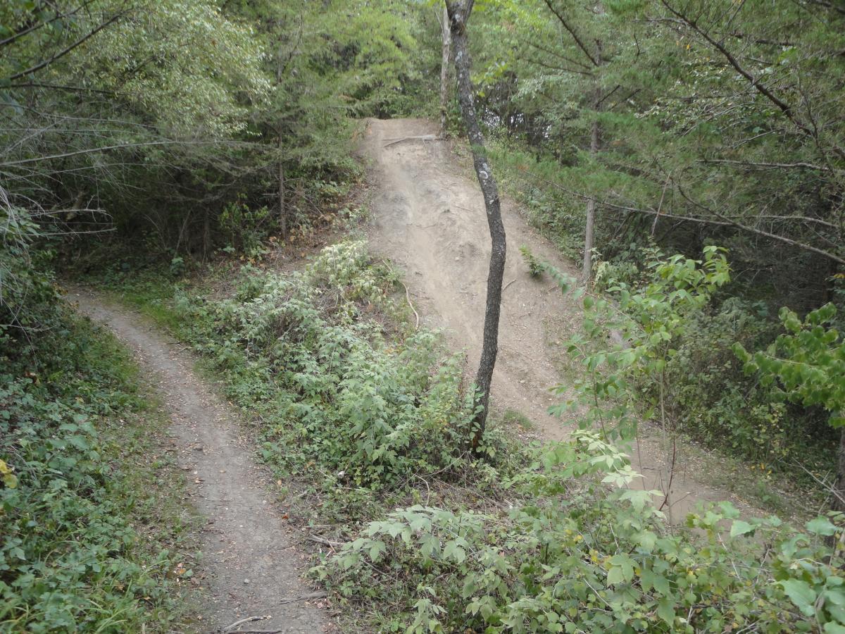 A dirt path winding through a lush green forest, with a steep, sandy slope on one side. The scene captures the natural beauty of the area, surrounded by trees and dense foliage. Banner Lakes At Summerset Park mountain bike trail.