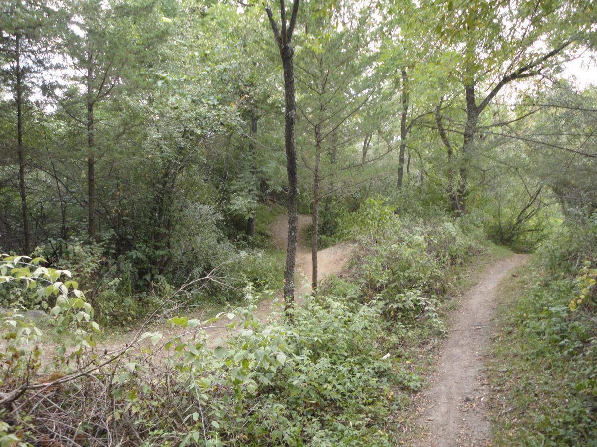 A winding dirt path through a lush green forest, with trees and dense foliage on either side. The trail splits into two directions, inviting exploration in a serene outdoor setting. Banner Lakes At Summerset Park mountain bike trail.
