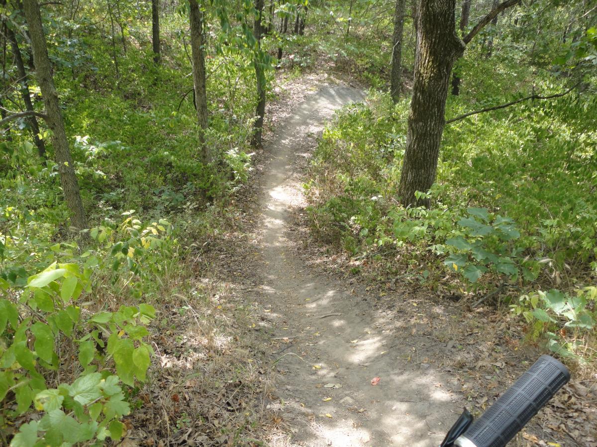 A dirt bike trail winding through a lush, green forest, surrounded by trees and undergrowth. The path narrows as it descends, with patches of sunlight illuminating the earthy surface. A bicycle handlebar is partially visible in the foreground, suggesting a cyclist's perspective. Banner Lakes At Summerset Park mountain bike trail.