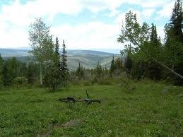An outdoor landscape featuring a grassy area with scattered trees and a panoramic view of rolling hills in the background. A mountain bike is resting on the ground in the foreground, surrounded by lush greenery under a partly cloudy sky. Basalt Mountain mountain bike trail.