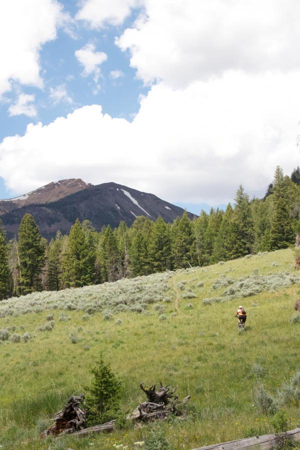 A person walking through a grassy field surrounded by trees, with a mountainous landscape in the background under a partly cloudy sky. Rocky Creek Loop mountain bike trail.